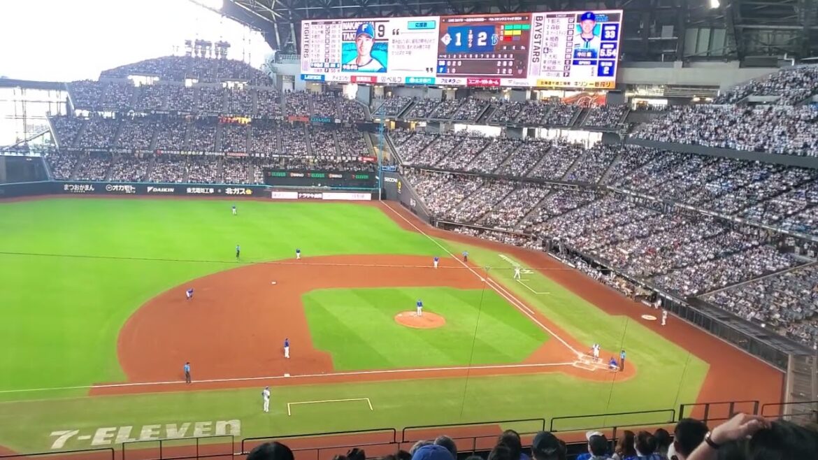 20240601 俺のナカシ♪【中島卓也 応援歌】 3回ウラ 北海道日本ハムファイターズ@エスコンフィールドHOKKAIDO・内野3塁側 日本生命セ・パ交流戦 20240601 俺のナカシ♪【中島卓也 応援歌】 3回ウラ 北海道日本ハムファイターズ@エスコンフィールドHOKKAIDO・内野3塁側 日本生命セ・パ交流戦