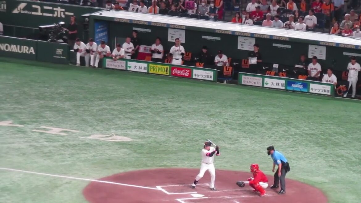 丸佳浩デッドボール どこか当たったかベンチで教えてる山﨑伊織など（ 読売ジャイアンツ 対 広島カープ 2024年8月20日）