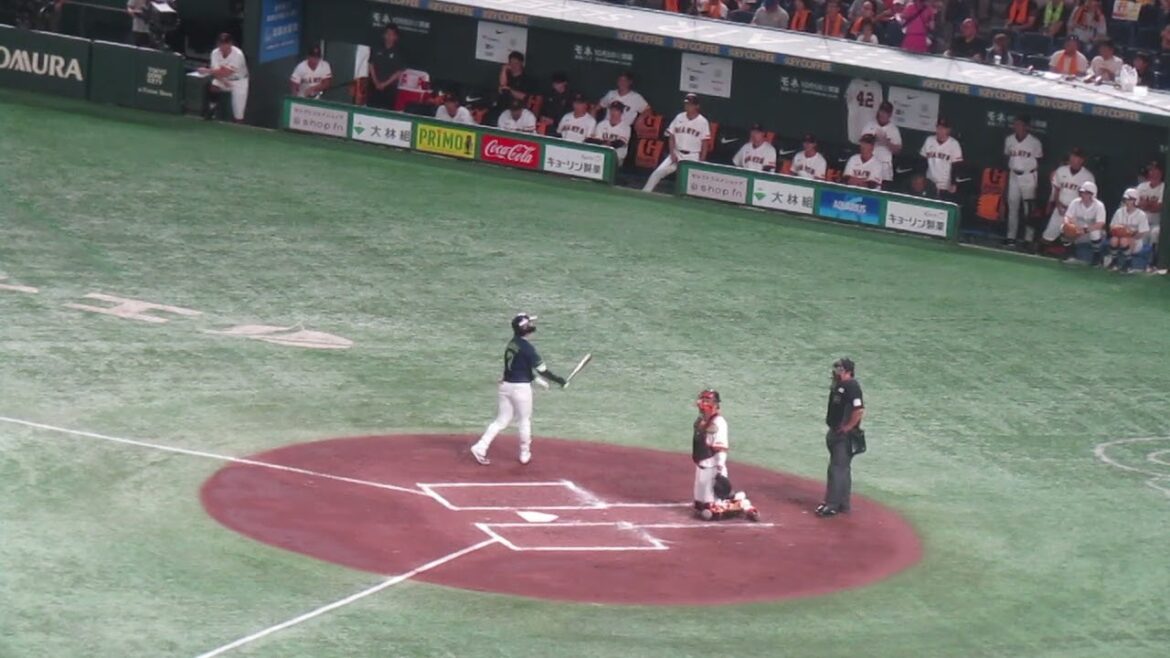 長岡秀樹 並木秀尊を抑えた時のベンチの巨人選手の様子（2024年9月14日 読売ジャイアンツ 対 ヤクルトスワローズ）