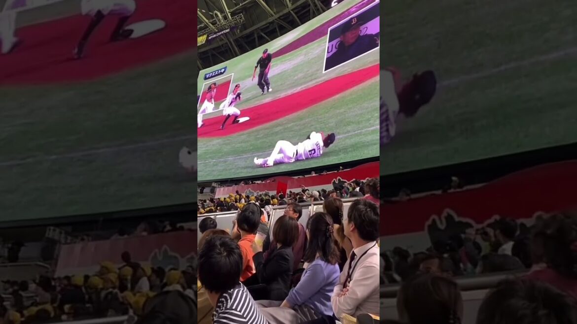 今宮健太のファインプレーにライトスタンド歓喜 #ソフトバンクホークス