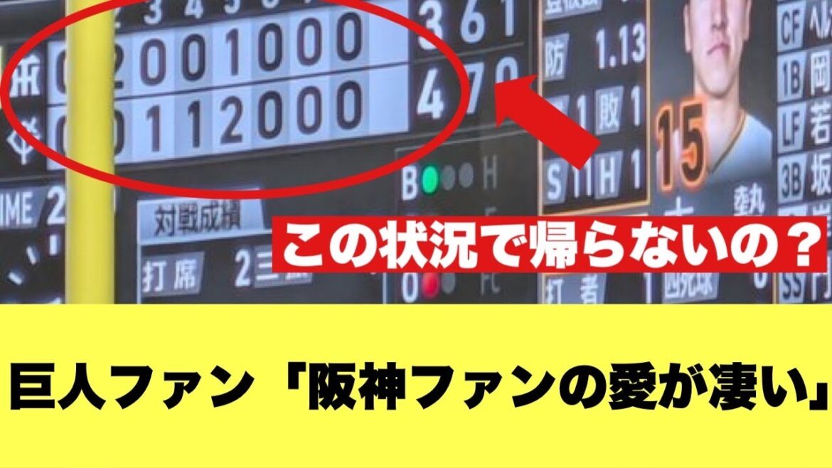 【阪神ファン】巨人ファンから見た阪神ファンが凄いと話題!【2ちゃんねる反応集】【プロ野球反応まとめ】【阪神タイガース】 【阪神ファン】巨人ファンから見た阪神ファンが凄いと話題!【2ちゃんねる反応集】【プロ野球反応まとめ】【阪神タイガース】