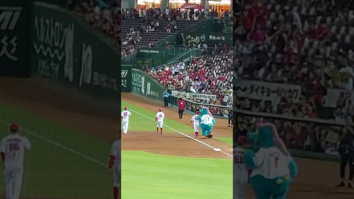 【2024.9.1】今日のヒーロー達  #shorts  #矢野雅哉  #玉村昇悟  #小園海斗