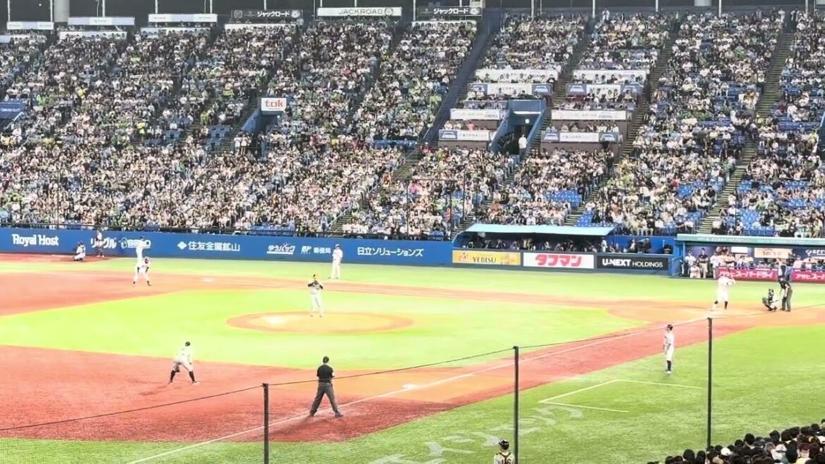 阪神タイガース　近本光司‼️超ファインプレー‼️