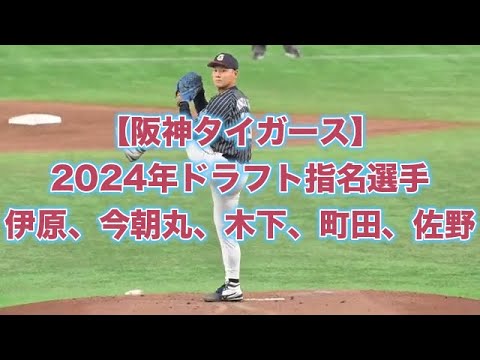 【阪神タイガース】【2024年】ドラフト指名選手のアマチュア時代の様子 伊原、今朝丸、木下、町田、佐野 【阪神タイガース】【2024年】ドラフト指名選手のアマチュア時代の様子 伊原、今朝丸、木下、町田、佐野