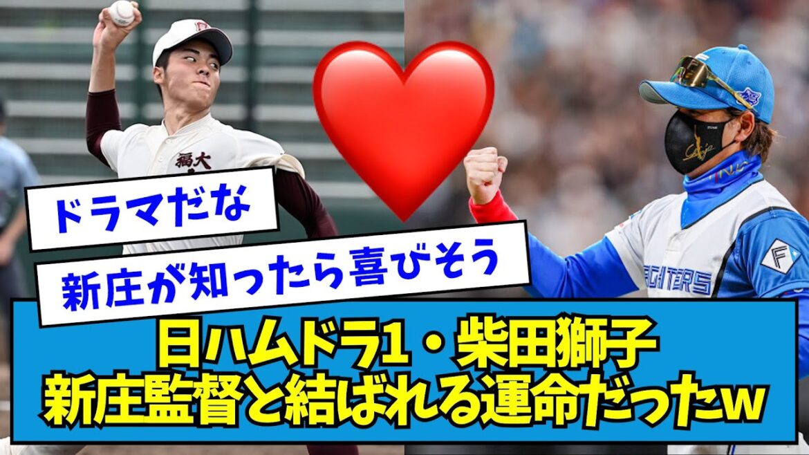 【運命】日ハムドラ1・柴田獅子、新庄監督と結ばれる運命だったwwwww【なんJ反応】