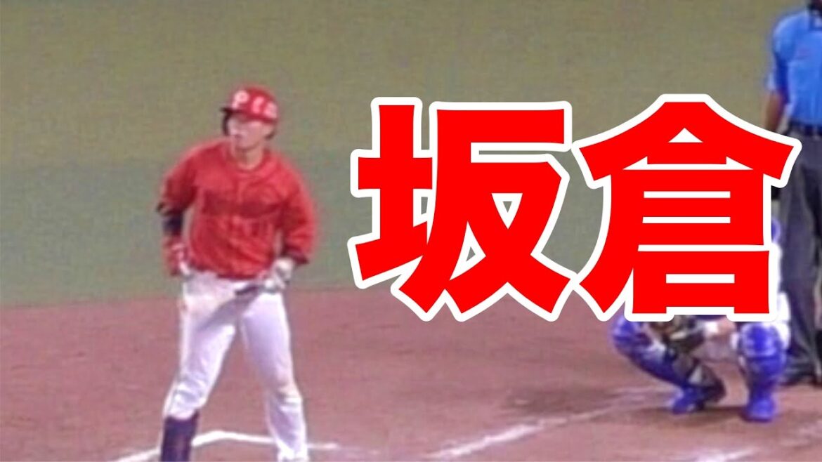 打席に入るまで審判に凝視される坂倉将吾ｗｗｗ【2024年8月29日 中日広島戦】