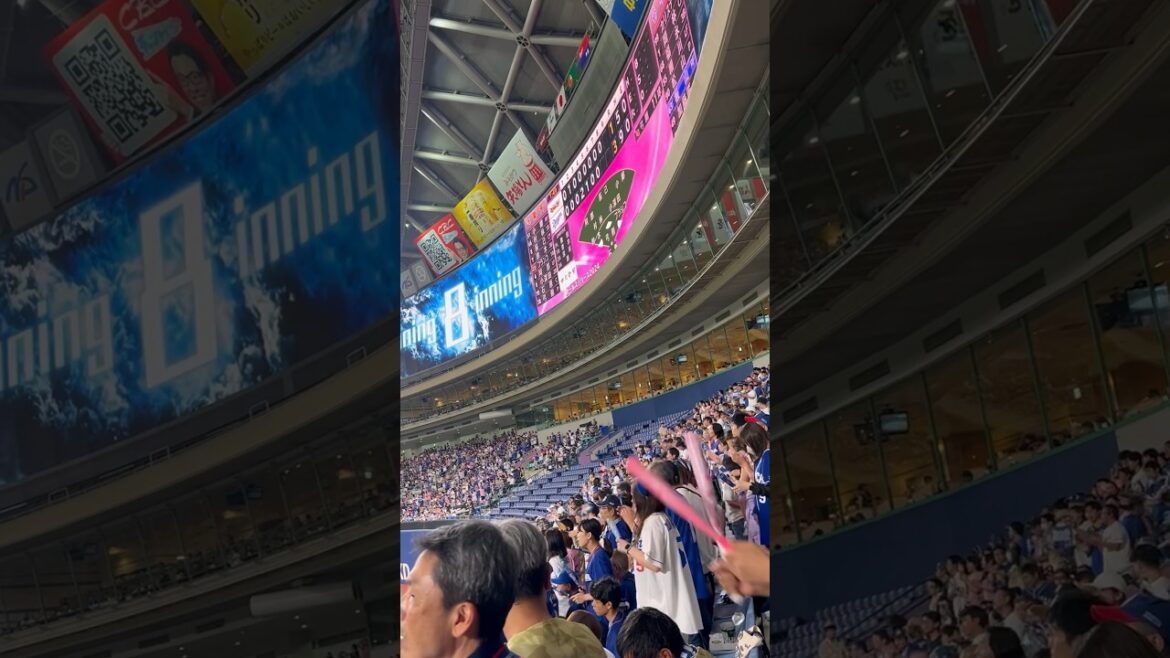 8回💫我らのドラゴンズ🔥🌈交流戦🌈ナゴヤドーム2024.6.9 楽天戦3-1勝🥰松葉好投、板山3安打🌈 ライトスタンドドラゴンズ応援　＃板山 #カリステ #松葉