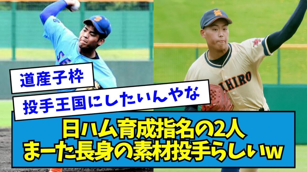 【投手王国】日ハム育成ドラフト指名の2人、まーた長身の素材投手らしいwwwwwwwww【川勝空人】【澁谷純希】【なんJ反応】 【投手王国】日ハム育成ドラフト指名の2人、まーた長身の素材投手らしいwwwwwwwww【川勝空人】【澁谷純希】【なんJ反応】