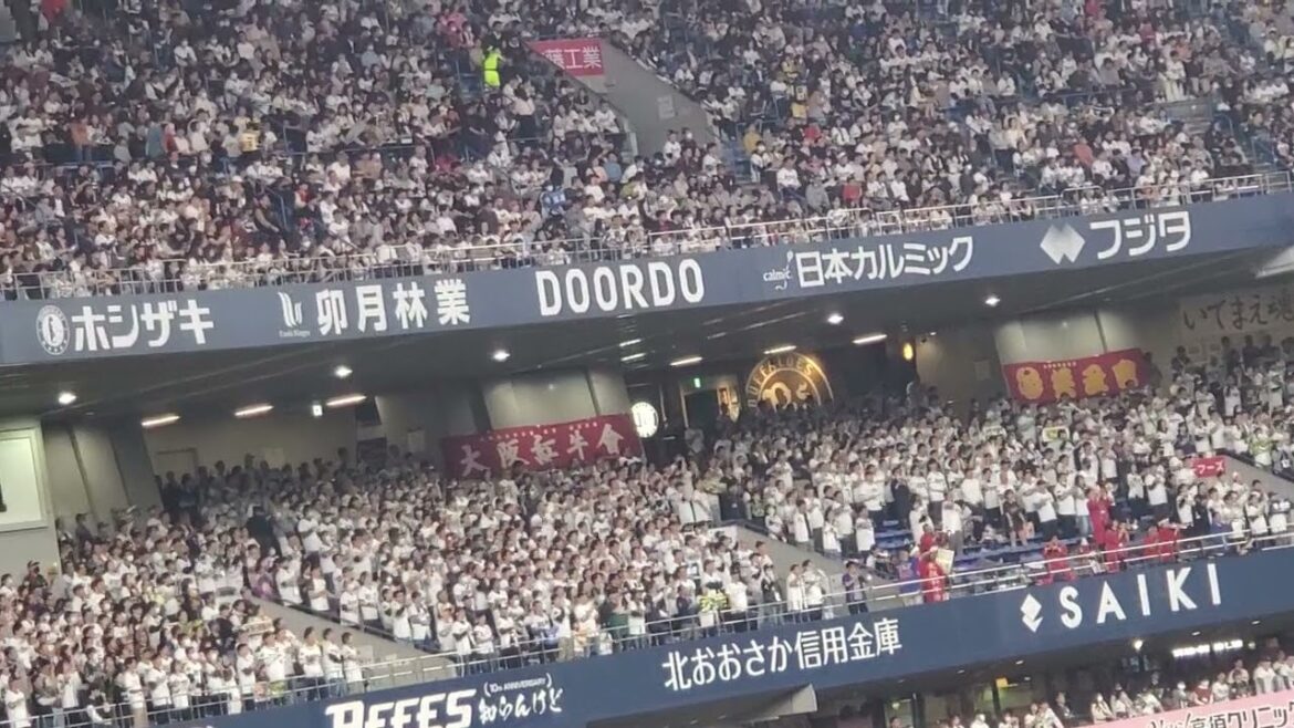 20240331　宗◯◯内野手♪【宗佑磨 応援歌】2回ｳﾗ　ｵﾘｯｸｽ･ﾊﾞﾌｧﾛｰｽﾞ@京ｾﾗﾄﾞｰﾑ大阪･ﾚﾌﾄ外野下段