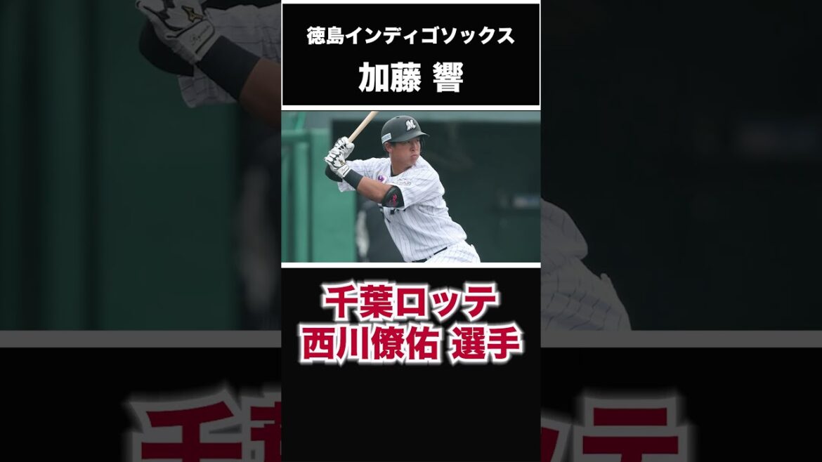 【DeNAベイスターズ】2024年 ドラフト3位指名！ ＜徳島インディゴソックス＞加藤響 内野手 東洋大学在学中の打てる右打のショートが四国にいた！#shorts #dena #プロ野球
