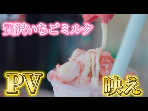 いちごがゴロっと!?贅沢いちごミルクPV いちごがゴロっと!?贅沢いちごミルクPV