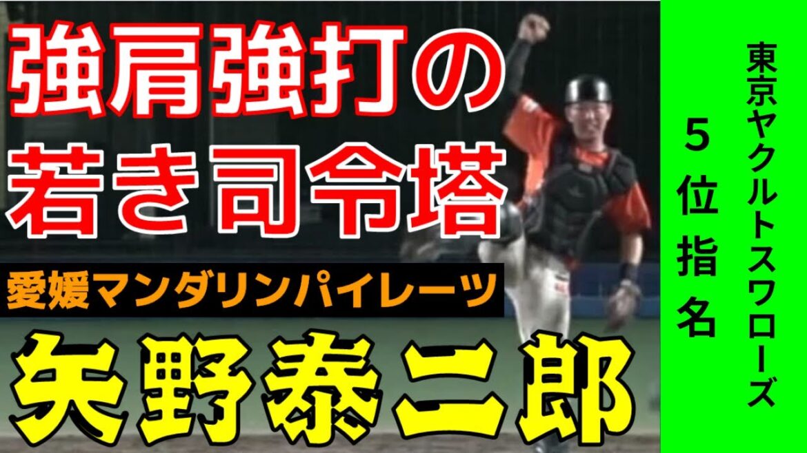 【東京ヤクルトスワローズ5位指名】強肩強打！愛媛マンダリンパイレーツの若き司令塔 矢野泰二郎 選手攻守まとめ