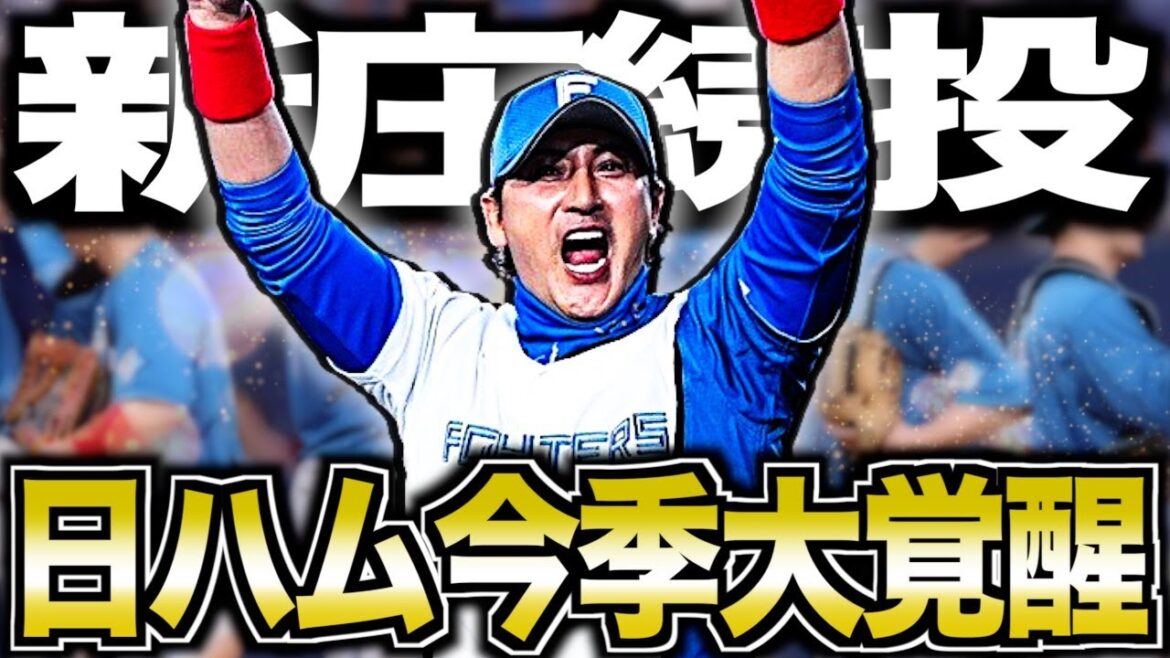 【最高】新庄監督と日本ハムファイターズの熱き2024年と来季を語る
