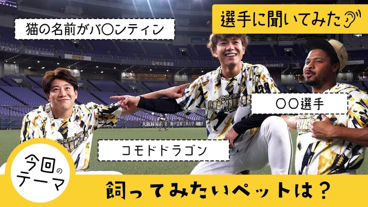 【選手に聞いてみた！】飼ってみたいペット ショートver.
