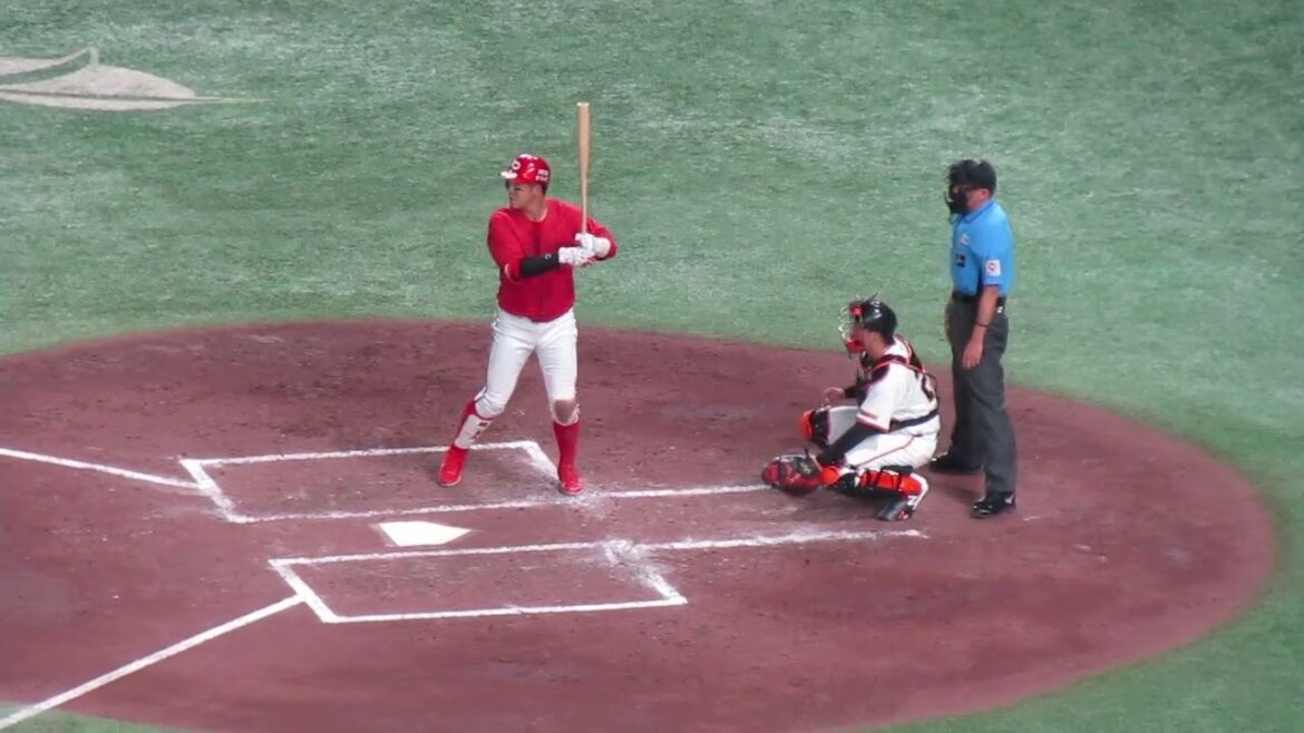 【カープ】小園海斗の打撃フォーム 2024年8月6日 読売ジャイアンツ対 広島カープ