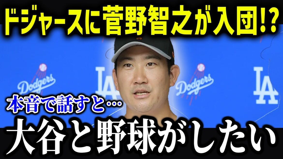 菅野智之がドジャース移籍の可能性!?「1年短期契約なら…」今年のFA市場がヤバい!【海外の反応/MLB/メジャー/野球】 菅野智之がドジャース移籍の可能性!?「1年短期契約なら...」今年のFA市場がヤバい!【海外の反応/MLB/メジャー/野球】