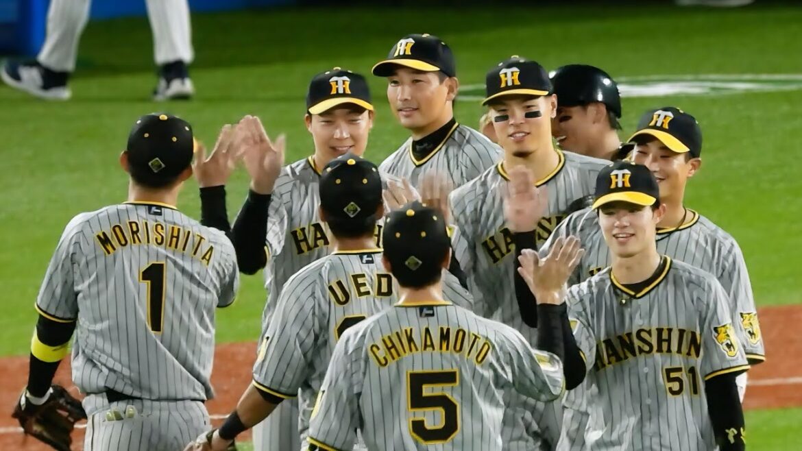 【勝利のハイタッチ】最後は岩崎がリベンジ登板で締めた！阪神タイガース、打線爆発で連敗ストップ！ 2024.8.8