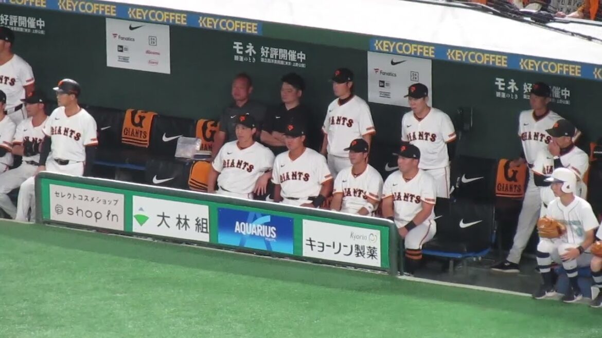 守備中 応援するベンチの小林誠司や郡拓也など（読売ジャイアンツ 対 横浜DeNAベイスターズ 2024年10月21日クライマックスシリーズ）