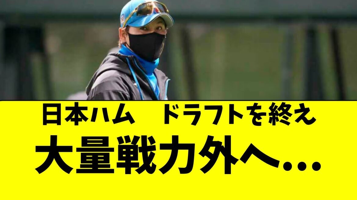 【日ハム】ドラフト結果から、戦力外候補がかなり絞られる