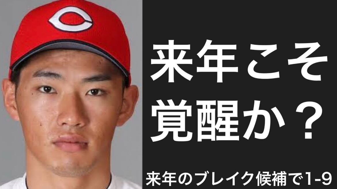 来年ブレイクしそうな選手で1-9