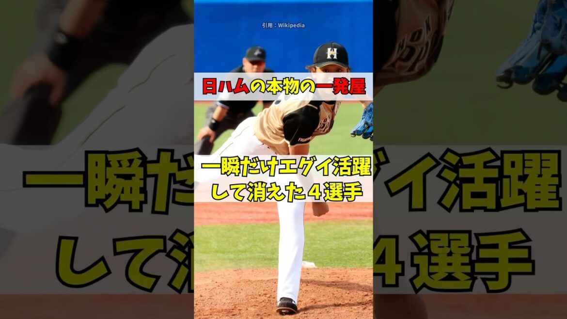 「北の一発屋」日本ハムで一瞬だけ大活躍した4人