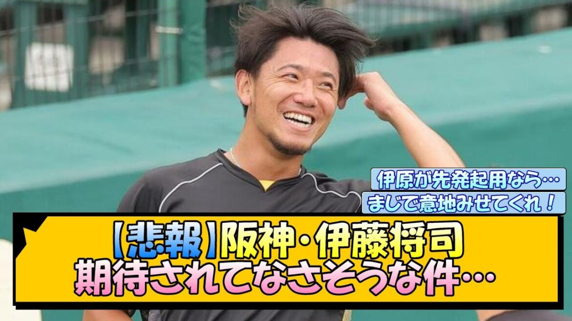 【悲報】阪神・伊藤将司 期待されてなさそうな件…【なんJ/2ch/5ch/ネット 反応 まとめ/阪神タイガース/岡田監督】
