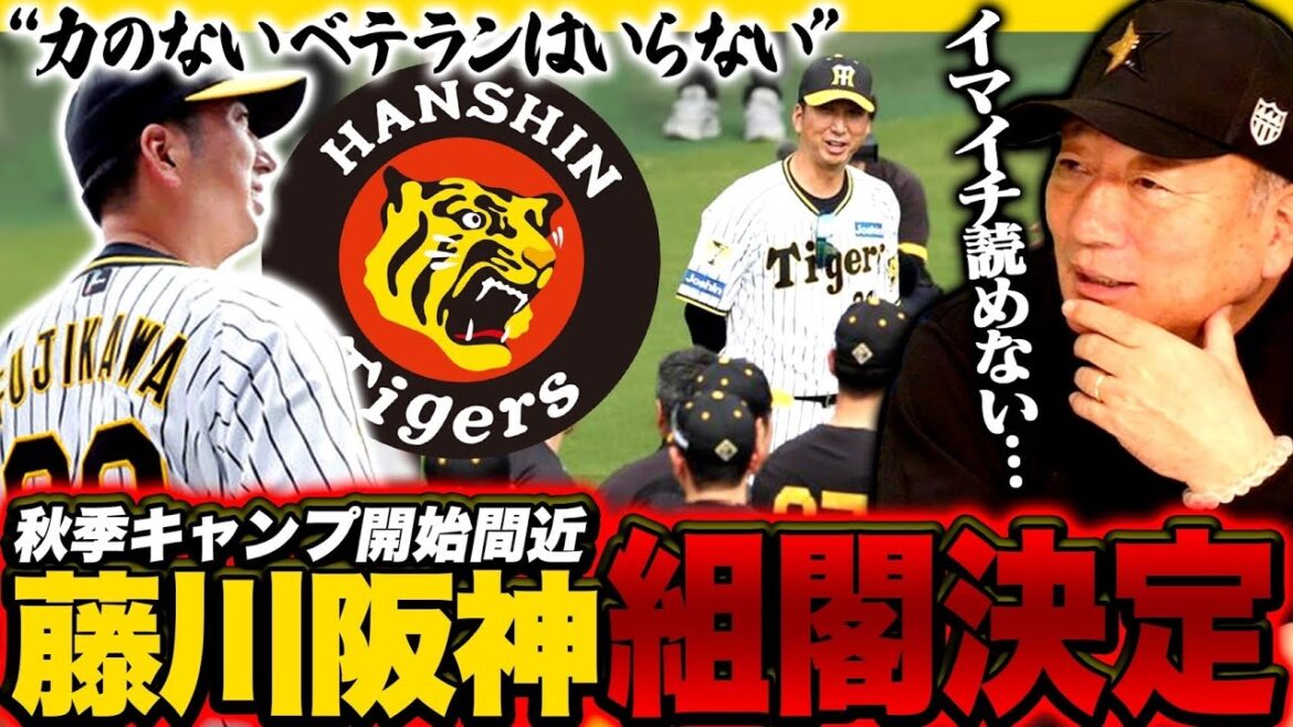 【藤川体制確定】佐藤輝明に着手するとチームは良い？藤川新監督の組閣が決定‼︎藤川阪神の秋季キャンプどうなるのか語ります‼︎