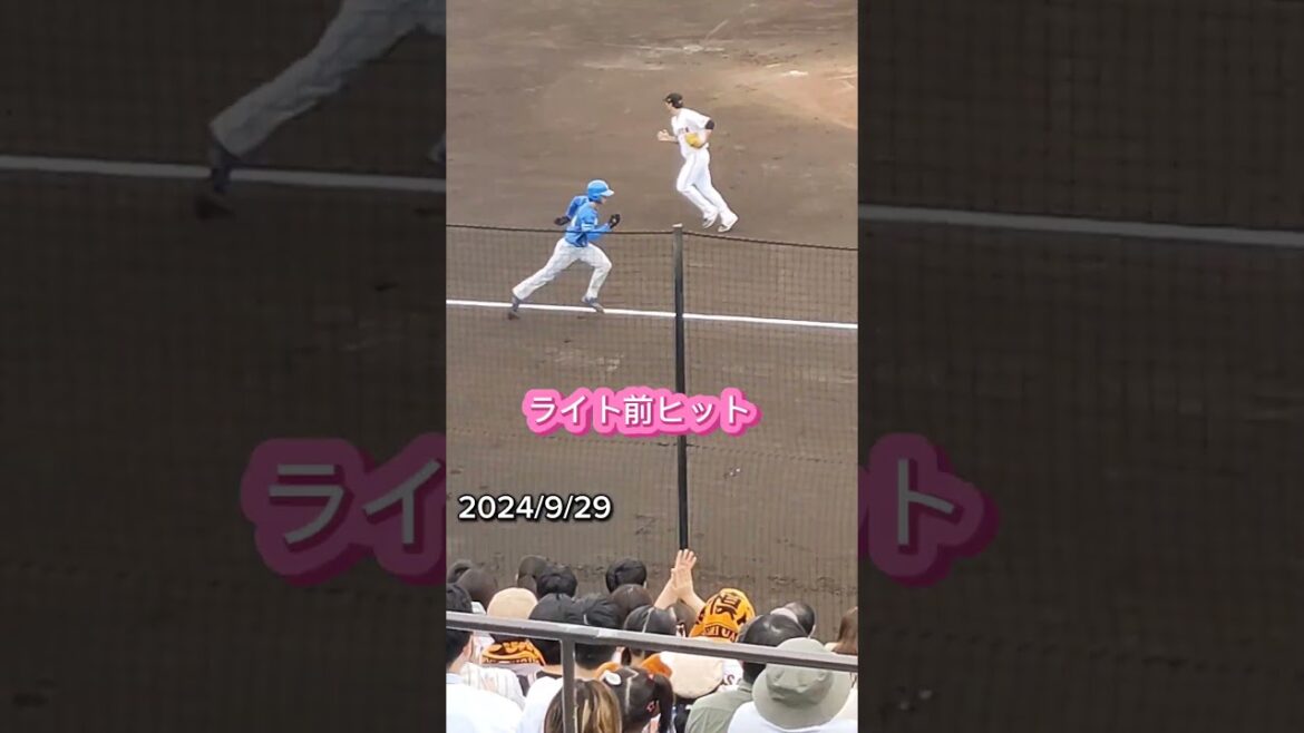 【FIGHTERS】 #石井一成 のタイムリーヒット #shorts #日本ハム #ファイターズ #プロ野球