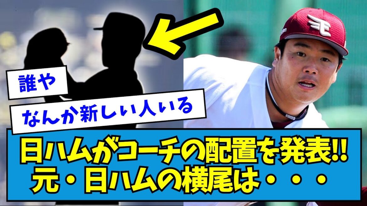 【意外な人物の名前も】日ハムがコーチの配置を発表!!元・日ハムの横尾は・・・【なんJ反応】 【意外な人物の名前も】日ハムがコーチの配置を発表!!元・日ハムの横尾は・・・【なんJ反応】