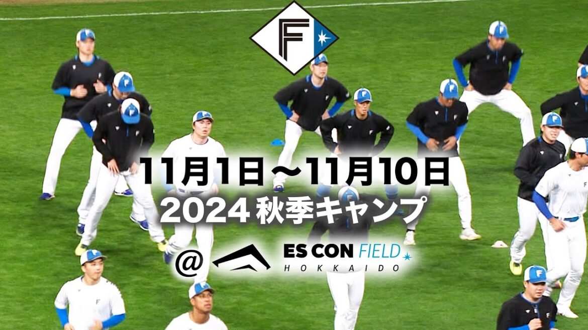 【今年もエスコンフィールドで開催！】2024 秋季キャンプスタート！【入場無料】