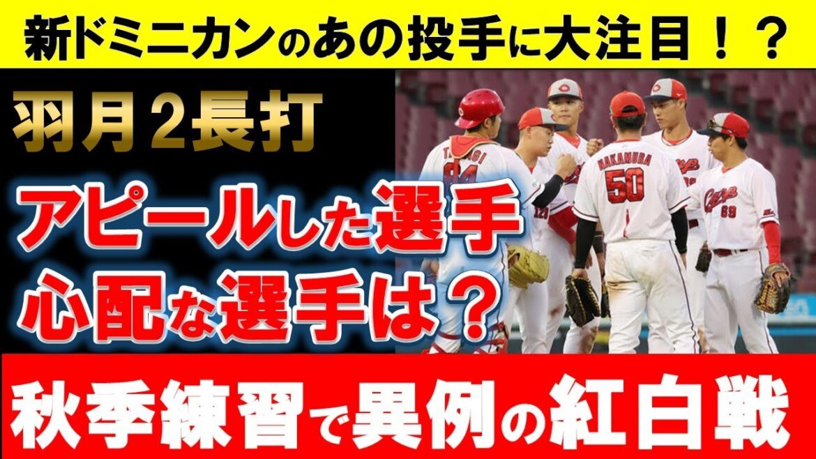 【異例紅白戦】羽月・林・髙木らがアピール！投手では新ドミニカンのあの投手に注目！？秋季キャンプはどうなる？【広島東洋カープ】