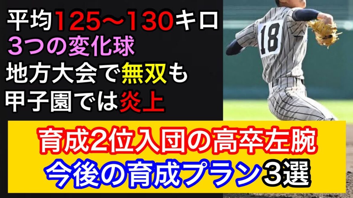 平均130キロで育成入団となった高卒左腕。今後の育成プランと活躍の可能性について考察。 平均130キロで育成入団となった高卒左腕。今後の育成プランと活躍の可能性について考察。