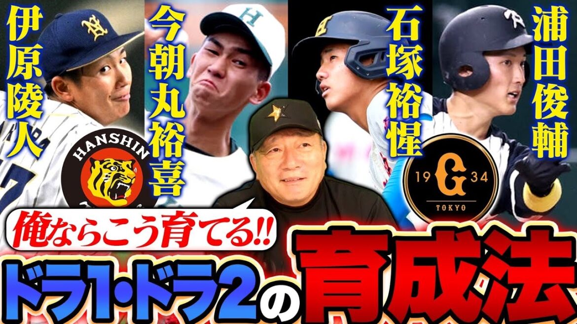 【ドラフト2024】『最も注目は浦田‼️』巨人の石塚は打撃力はトップクラス？坂本勇人2世になれる？阪神藤川流の指名と育成術披露か？巨人&阪神のドラフト指名選手の育成法を語ります！