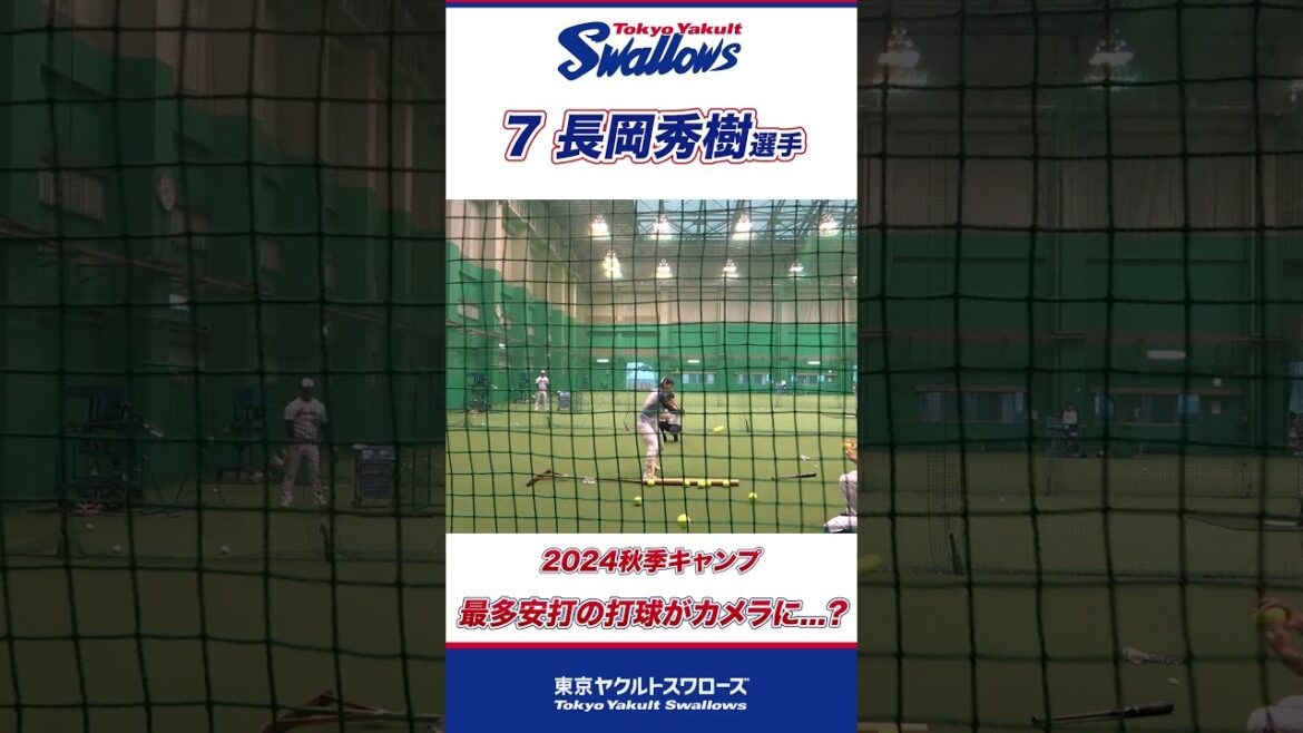 【最多安打男】秀樹の打撃が直撃...！？ #shorts  #swallows #ヤクルト #東京ヤクルトスワローズ
