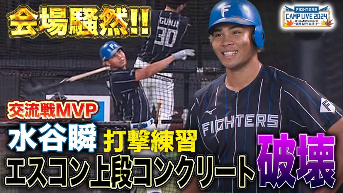 エスコン上段コンクリ破壊‼️水谷瞬のバッティングに解説も文句なし！＜11/3ファイターズ秋季キャンプ2024＞