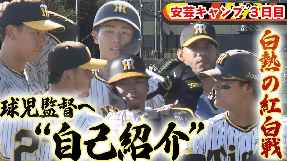 【秋季キャンプ3日目】白熱の紅白戦！若虎も藤川監督へ猛アピール！