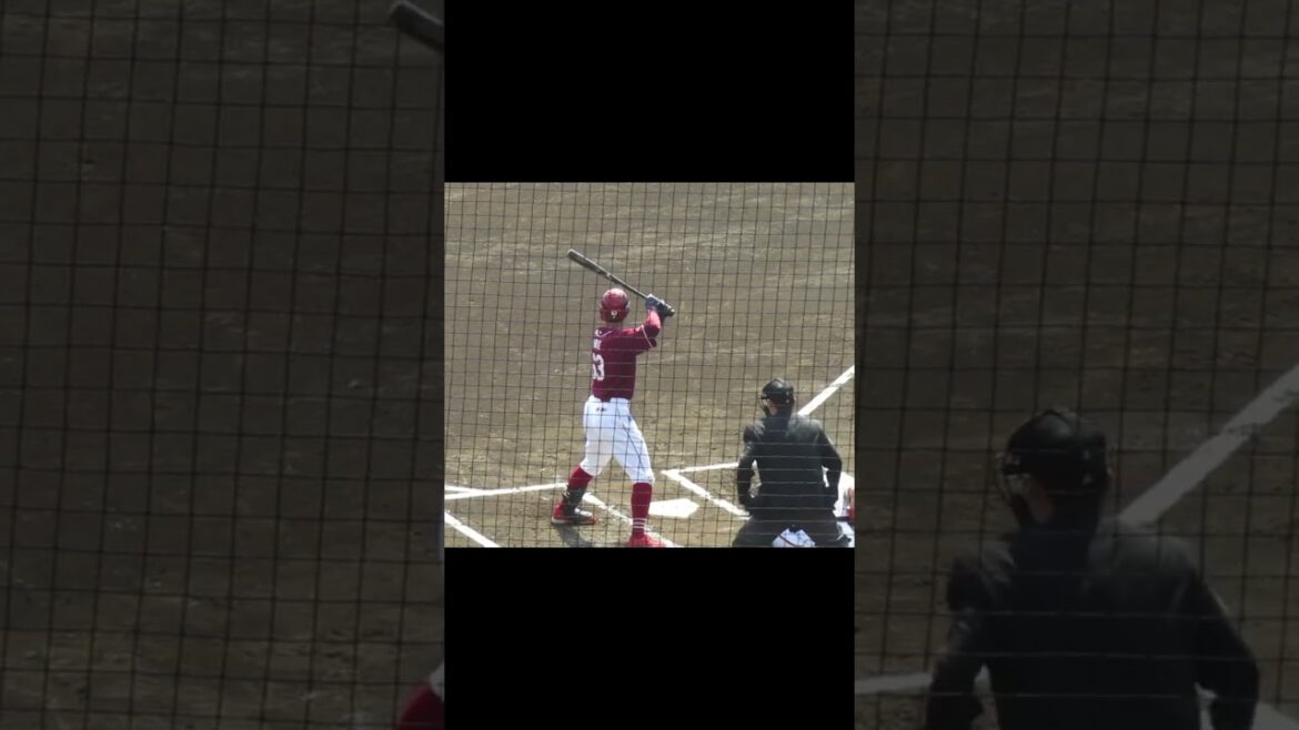 【楽天】入江大樹バッティングフォーム［ 読売ジャイアンツ対 東北楽天ゴールデンイーグルス 2024年3月16日］#入江大樹