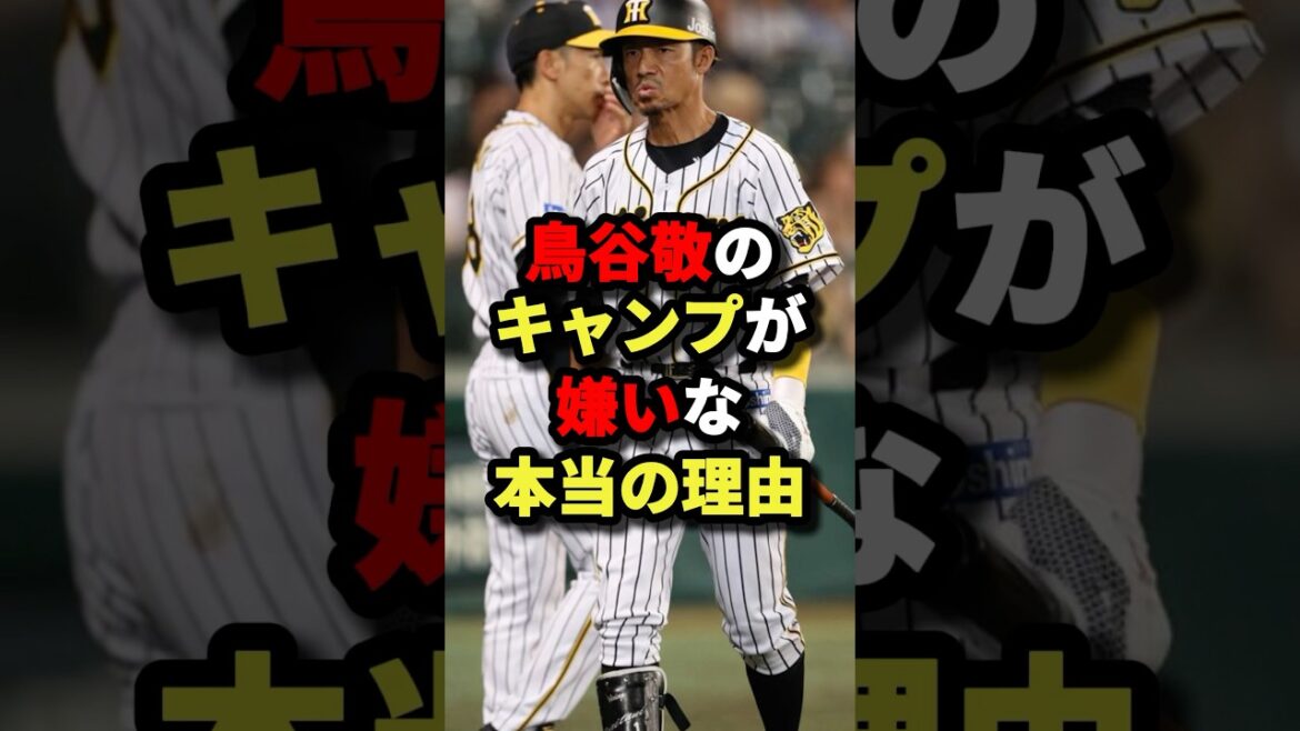 鳥谷敬がキャンプ嫌いな本当の理由 #プロ野球 #shorts