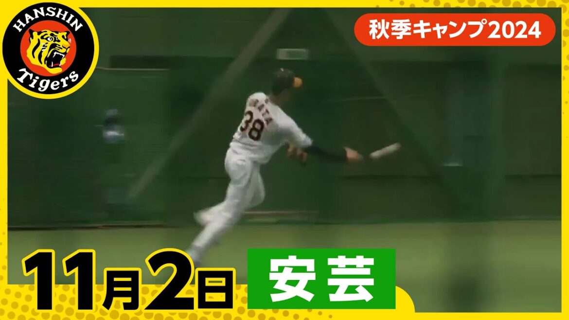 Hanshin-Tigers: 【秋季キャンプ2024・安芸】11月2日 【秋季キャンプ2024・安芸】11月2日