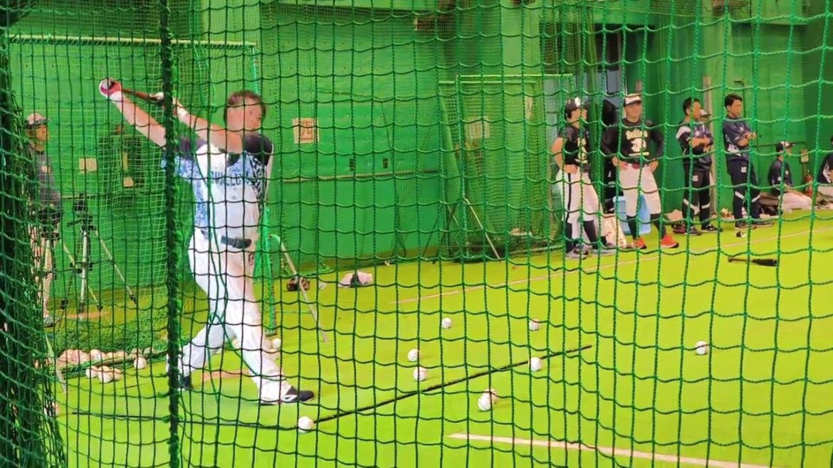 東京ヤクルトスワローズ松山秋季キャンプ2024 バッティング練習 11/2松山中央公園屋内運動場2 東京ヤクルトスワローズ松山秋季キャンプ2024 バッティング練習 11/2松山中央公園屋内運動場2
