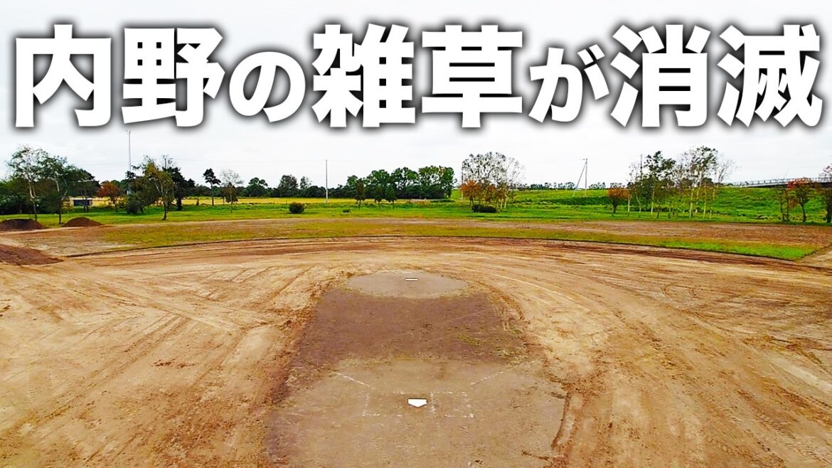重機で内野の雑草刈ってキレイに仕上げる!!