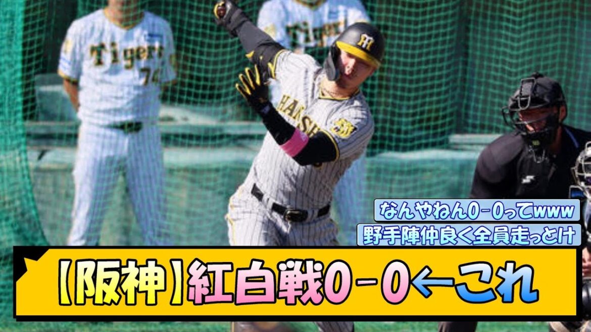 【阪神】紅白戦0-0←これ【なんJ/2ch/5ch/ネット 反応 まとめ/阪神タイガース/藤川球児/佐藤輝明/前川右京/伊藤将司】