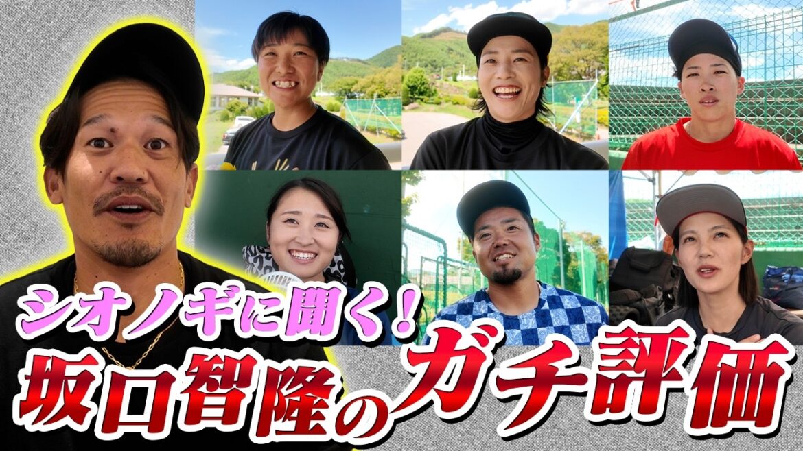シオノギ女子ソフトボール部に坂口智隆のガチ評価聞いてみた。【坂口コーチは何点？】