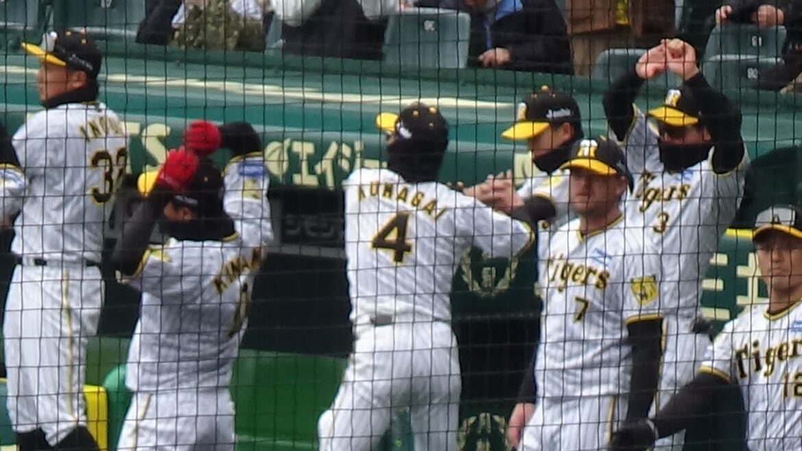 【阪神ファン向け】2024年オープン戦 阪神VS楽天①〈試合前編〉