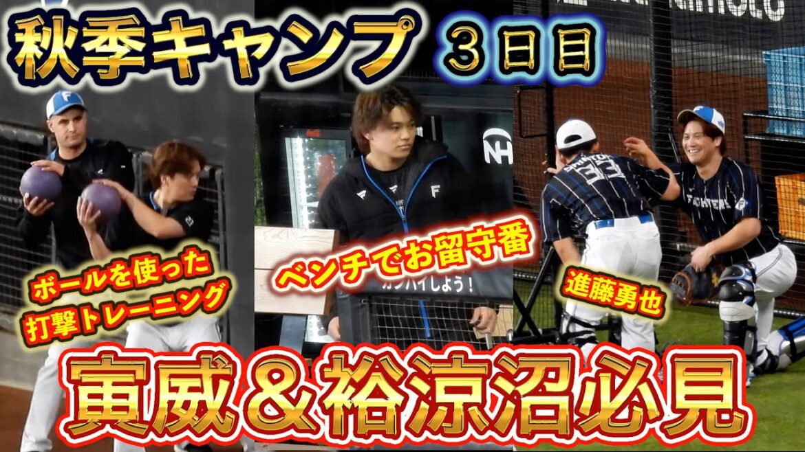【20241103】キャンプ３日目　寅威＆裕涼沼専用（アップや打撃練習）一部11月2日の動画を使用しています