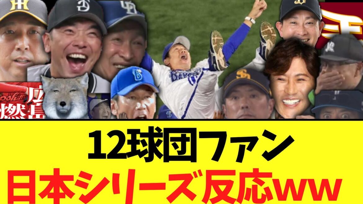 12球団ファン日本シリーズ反応ｗｗ　【横浜日本一】