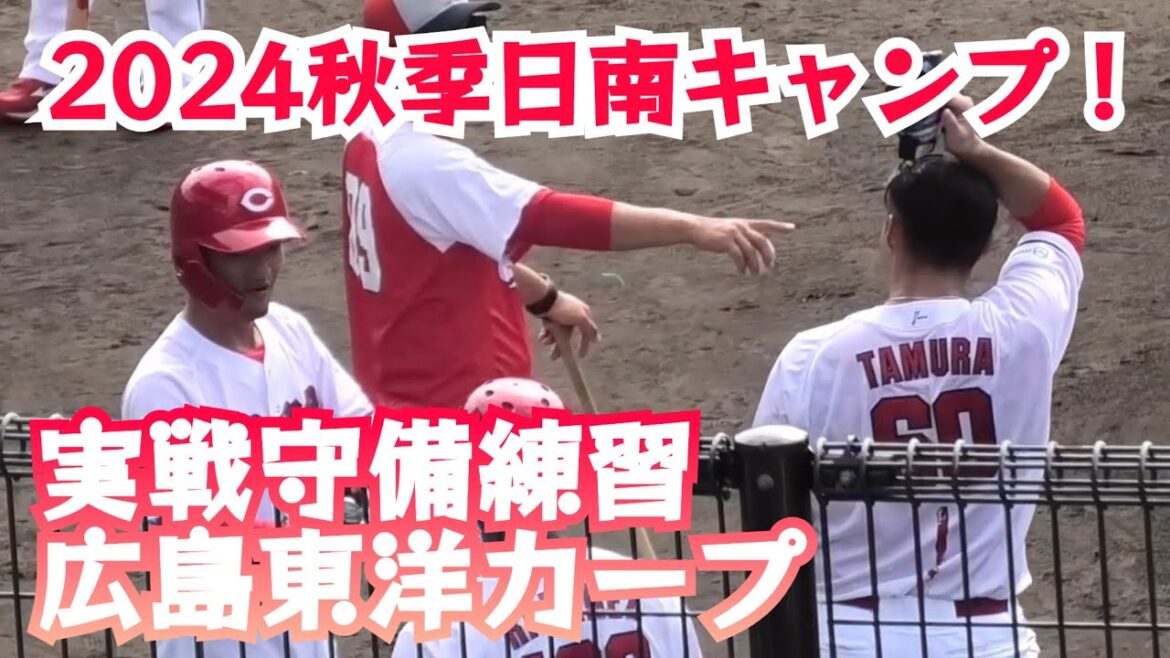 広島東洋カープ秋季日南キャンプ初日実戦守備練習！日南天福球場 2024年11月4日
