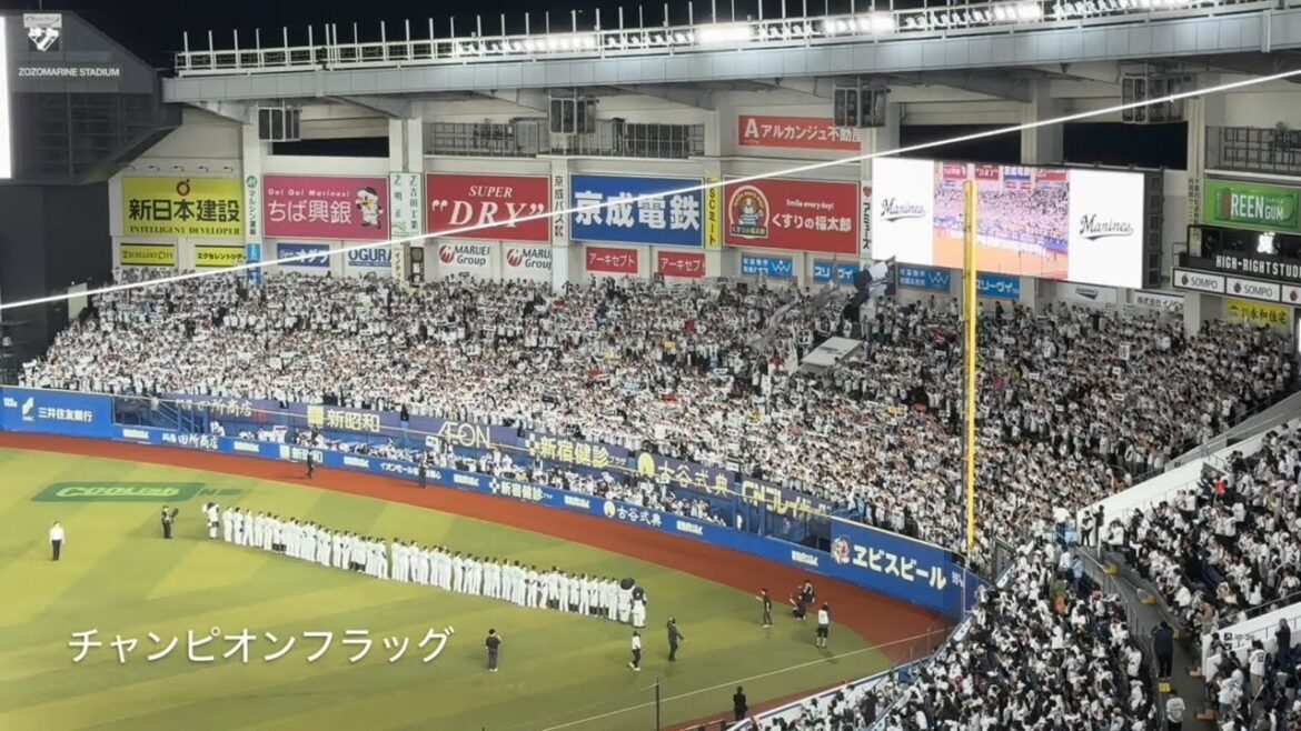 20241003　CHIBA LOTTE MARINES Chants from Pacific League Regular Season　パ・リーグ公式戦　千葉ロッテマリーンズ　チャント集