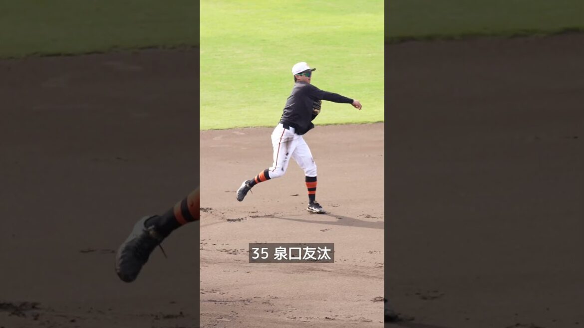 巨人【秋季練習】門脇誠&泉口友汰選手守備練習　#shorts #baseball #sports #ジャイアンツ #巨人 #プロ野球