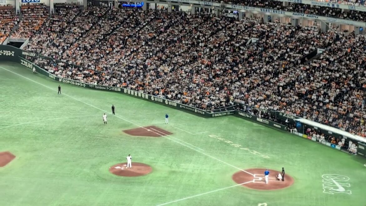 CSファイナル最終戦 チャンステーマ4〜タイラー・オースティン応援歌 読売-DeNA 東京ドーム 2024/10.21 CSファイナル最終戦 チャンステーマ4〜タイラー・オースティン応援歌 読売-DeNA 東京ドーム 2024/10.21